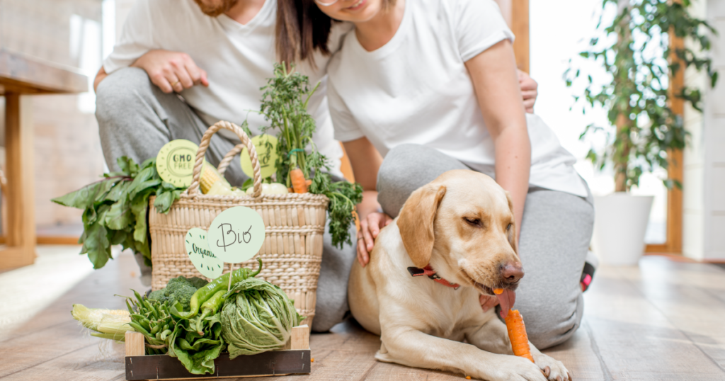 How to Choose the Right Nutritionist for Your Dog