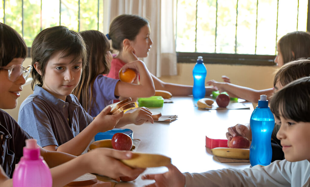 Healthy Lunch Ideas for School