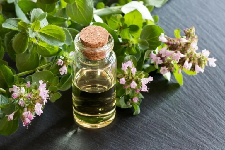 Essential Oils to Lower Blood Pressure: Natural Solution