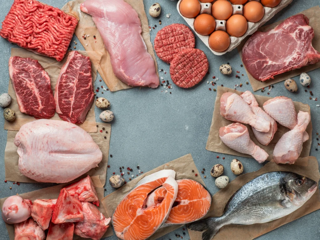 Are Carnivore Diets Healthy