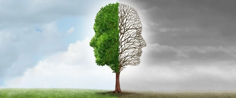 Can You Have BPD and Bipolar: The Details