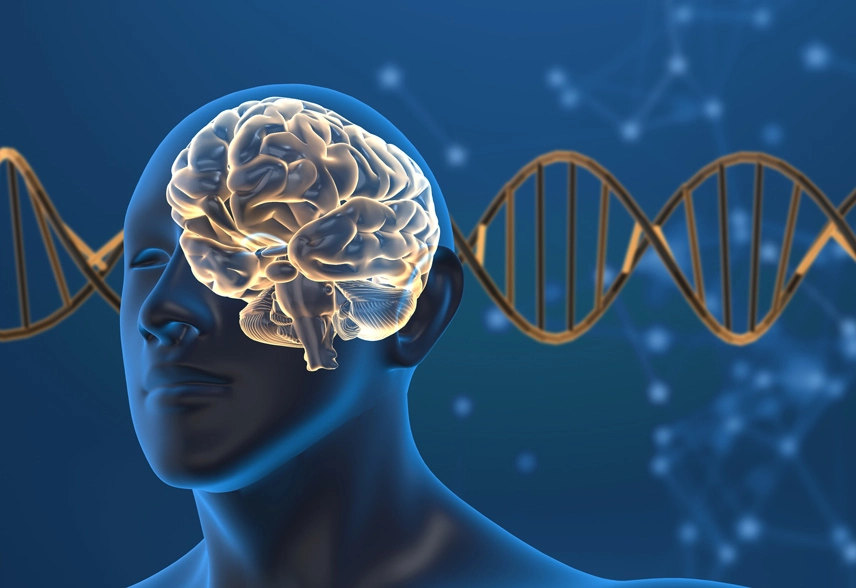 Bipolar Disorder Supportive Therapy